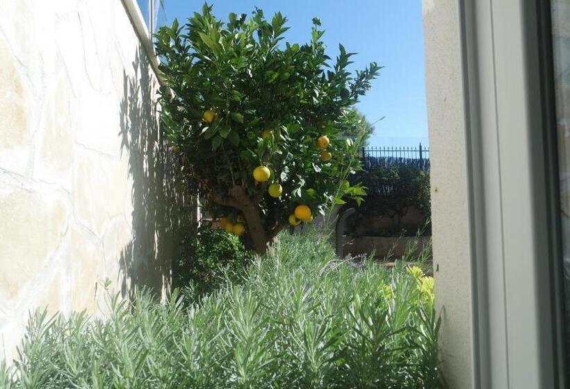 ベッドアンドブレックファースト Villa Perle De La Mer