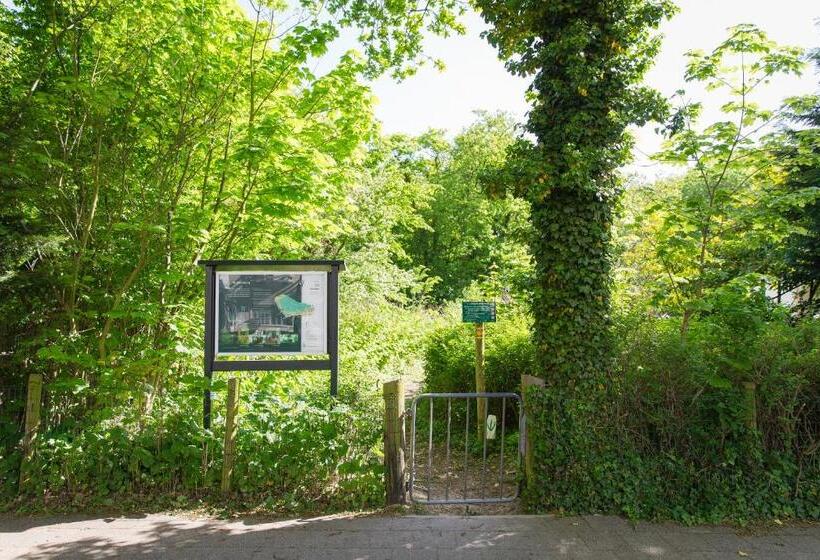 Bed & Breakfast Van Marion