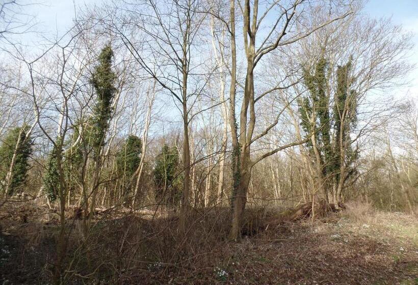 Bed & Breakfast Van Marion