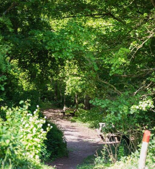 Bed & Breakfast Van Marion