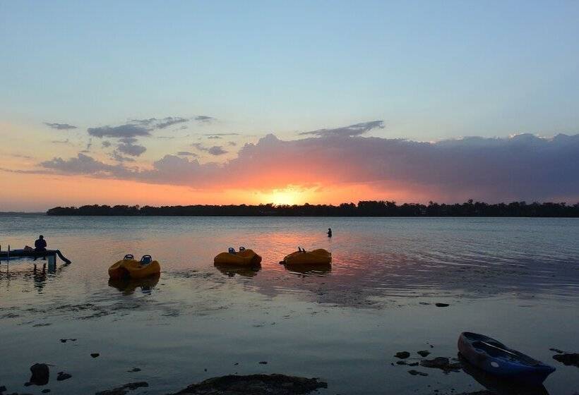 Dungowan Waterfront Apartments