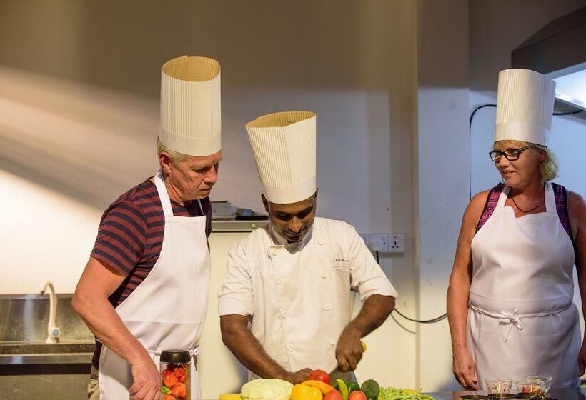 Escapade By Lvb   Hostel