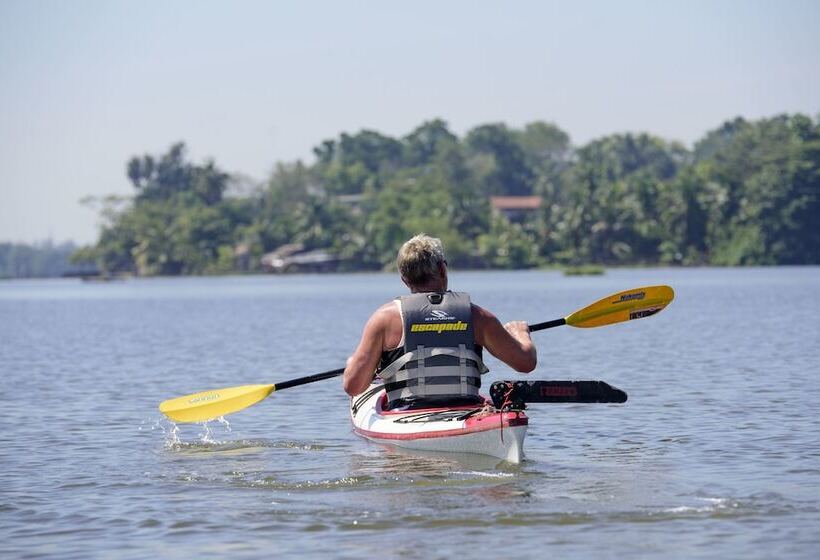 Escapade By Lvb   Hostel