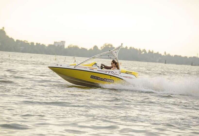 Escapade By Lvb   Hostel