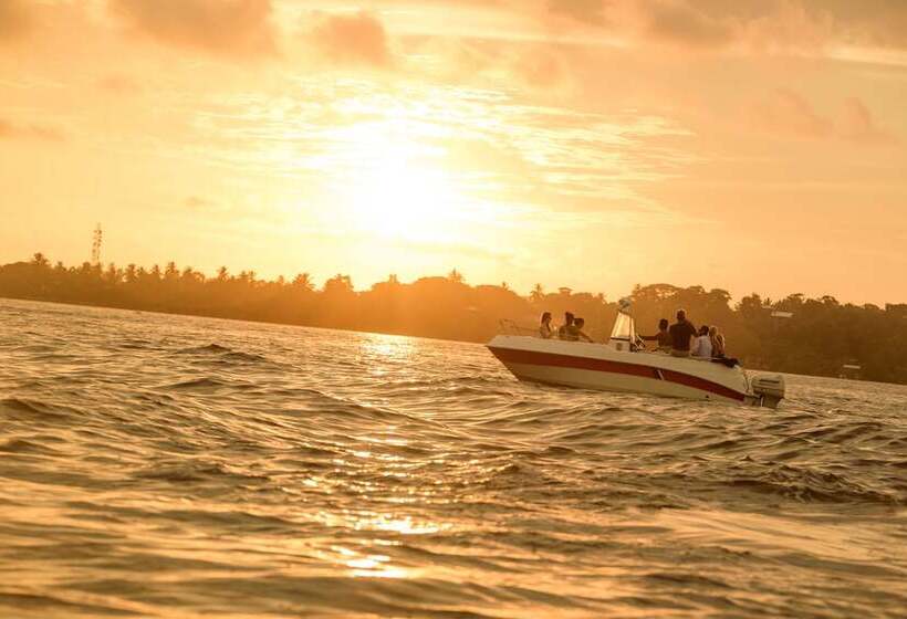 Escapade By Lvb   Hostel