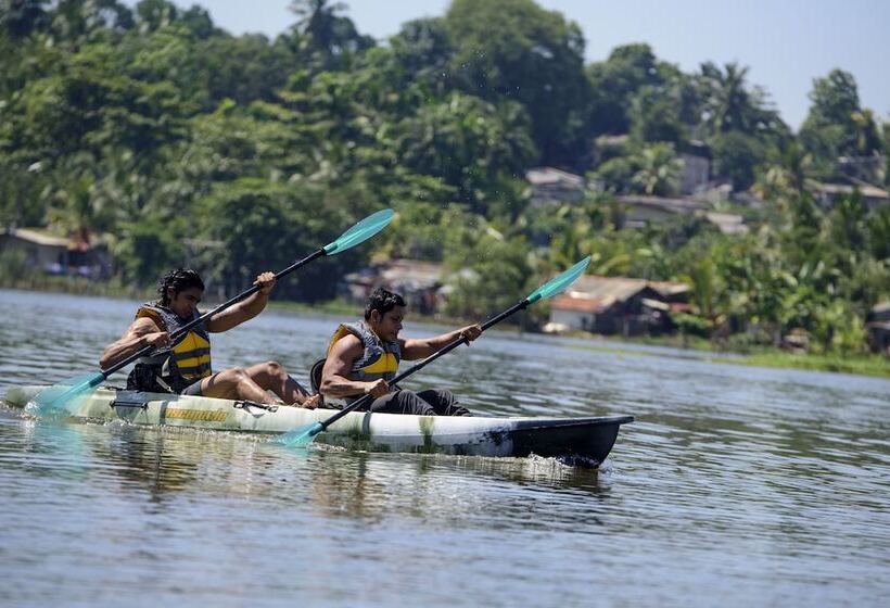 Escapade By Lvb   Hostel