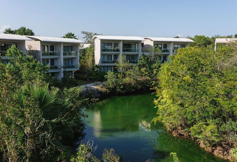 هتل Andaz Mayakoba Resort Riviera Maya, By Hyatt