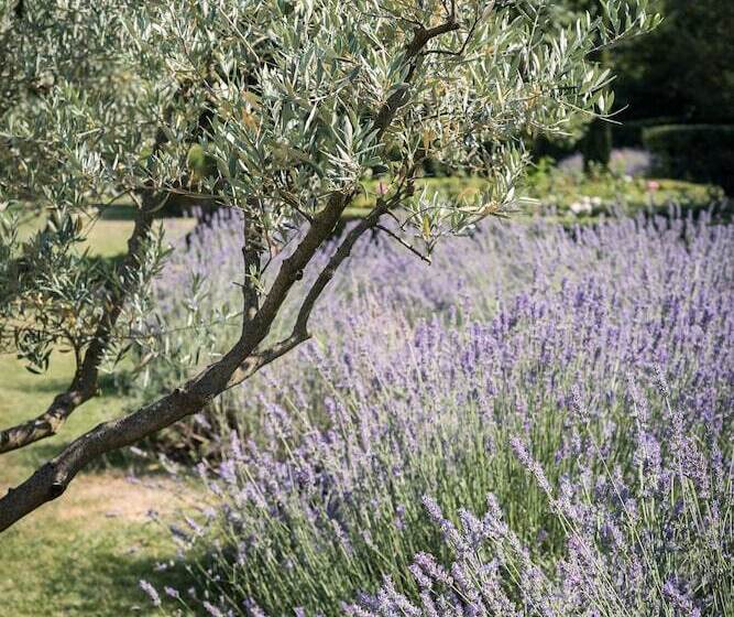 Отель Domaine De Fontenille