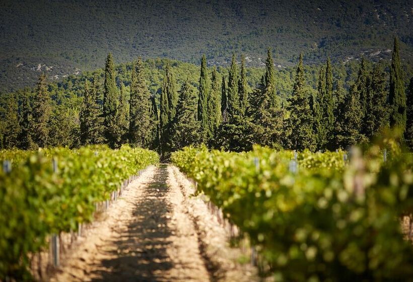 Отель Domaine De Fontenille