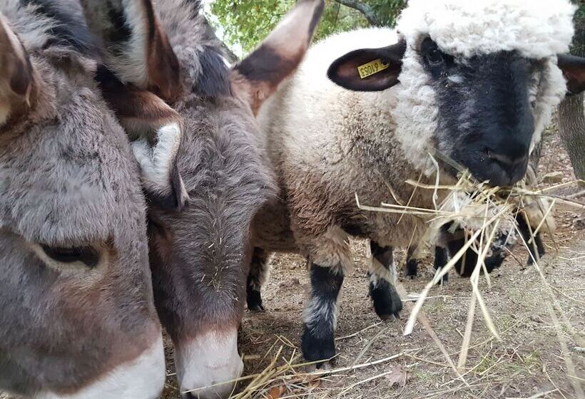 Отель Domaine De Fontenille