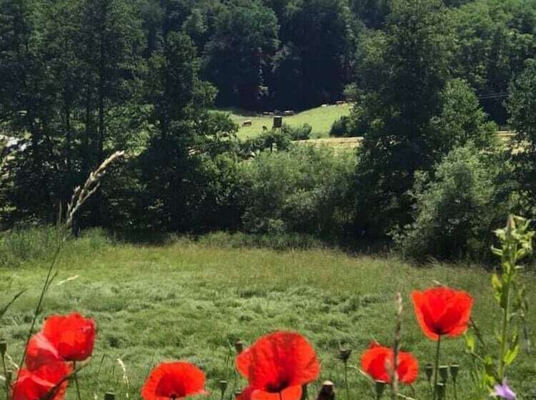Land Gut Hotel Dornröschen