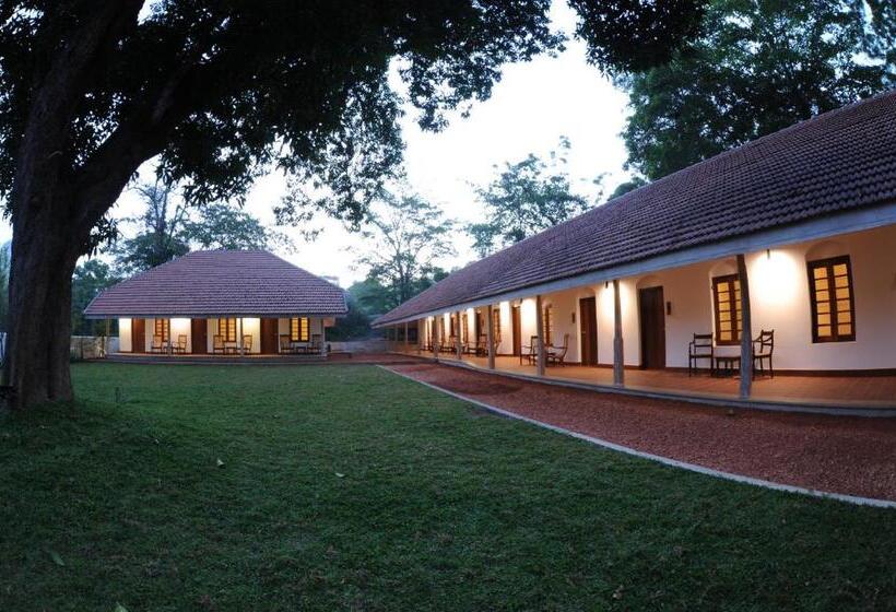 Отель Ekho Sigiriya