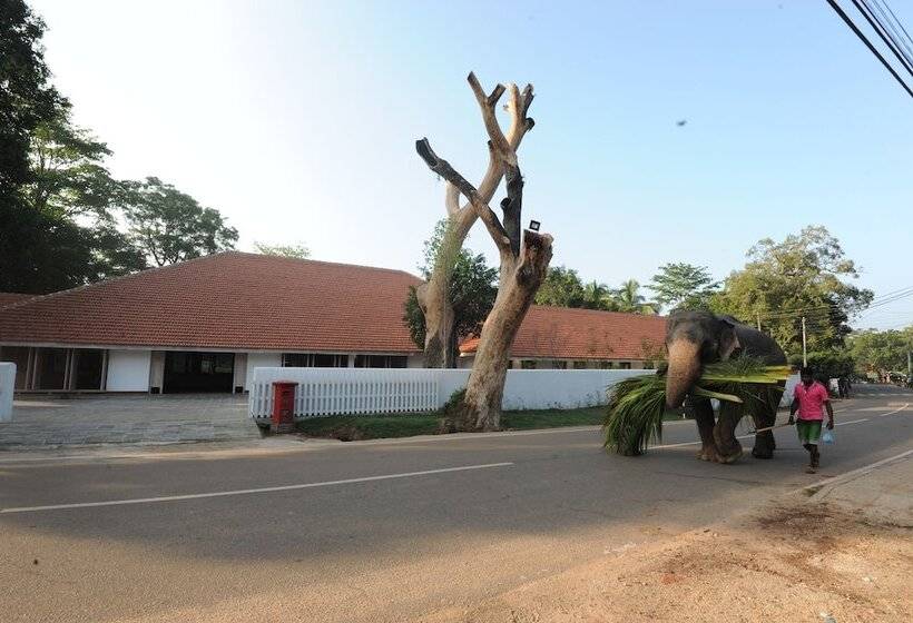Отель Ekho Sigiriya