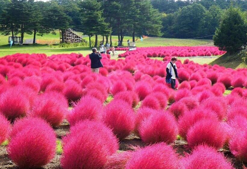 酒店 Holiday House Green Garden