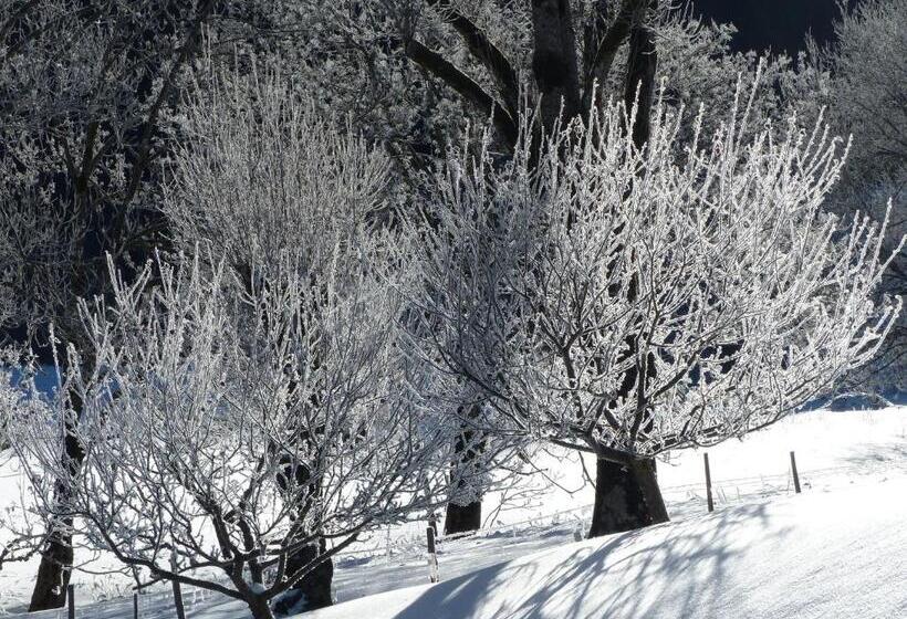 호텔 Hôtel Au Feu De Bois Bar à Vin Le 1605