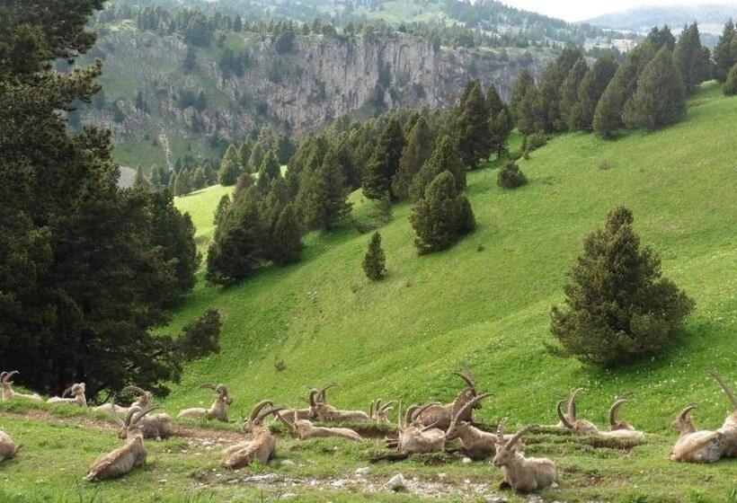 호텔 Hôtel Au Feu De Bois Bar à Vin Le 1605