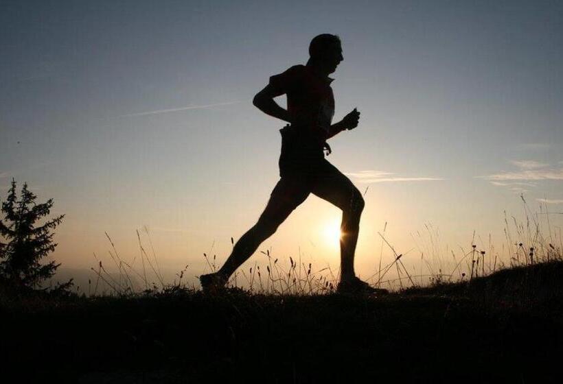 호텔 Hôtel Au Feu De Bois Bar à Vin Le 1605