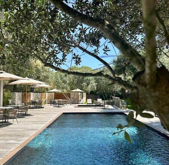 Отель Hôtel E Tre Stelle