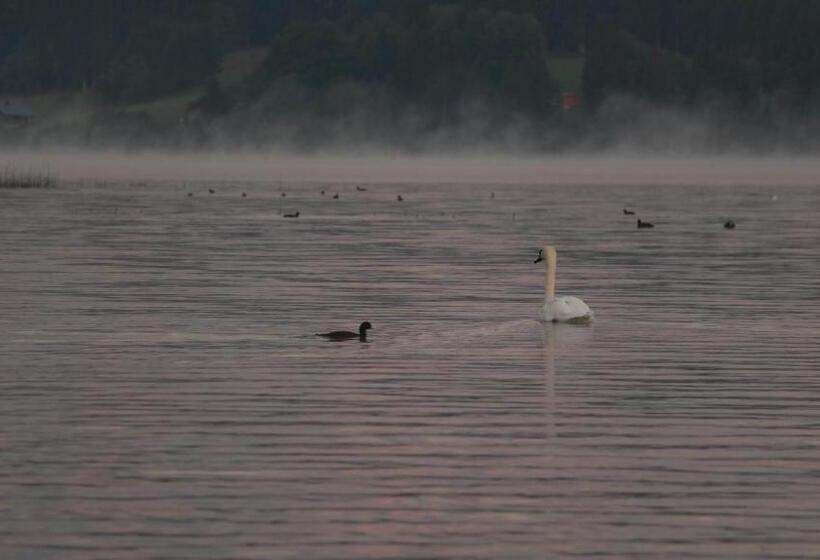 호텔 Hôtel L Atelier De Donat