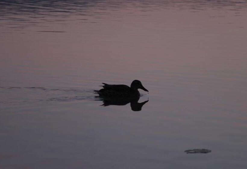 호텔 Hôtel L Atelier De Donat