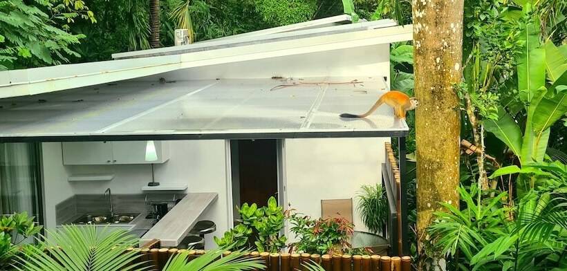 בית מלון כפרי La Vela Boutique