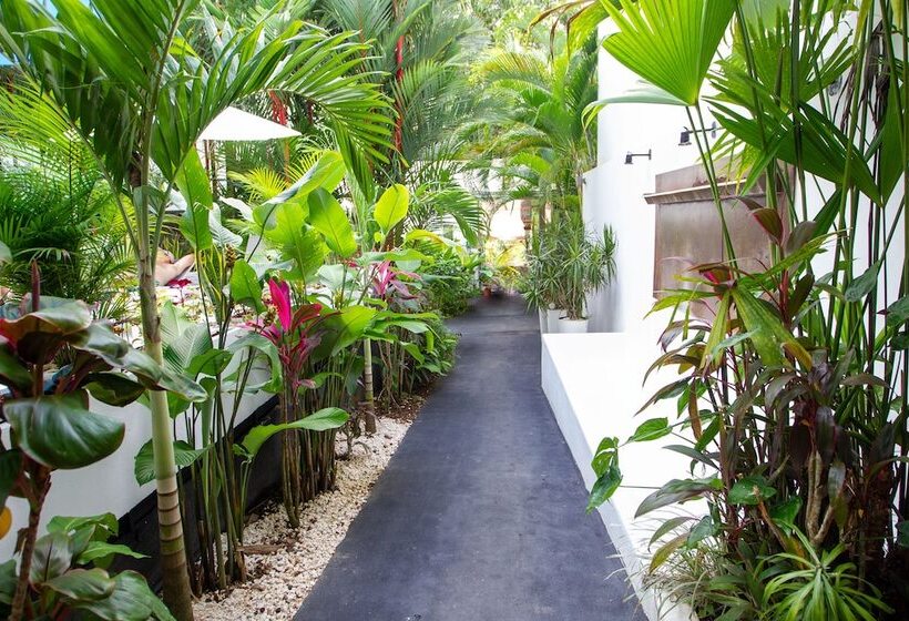 בית מלון כפרי La Vela Boutique