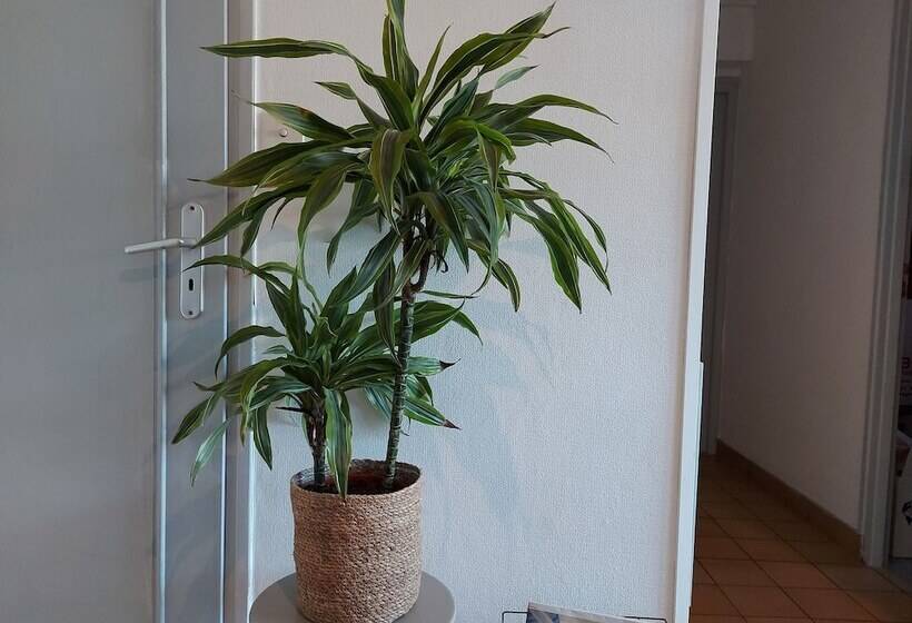 Отель Logis Hôtel Vannes Nord Le Clos Des Hortensias