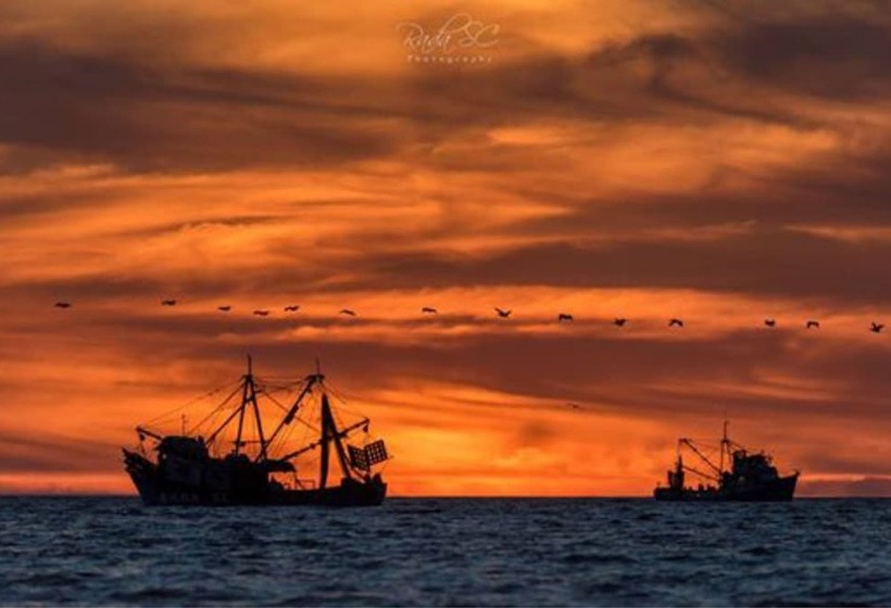 ホテル Malibu Guaymas