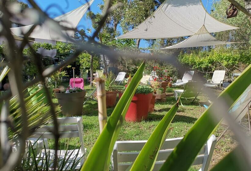 ホテル Hôtel Punta E Mare Des Chambres Ou Des Appartements T2