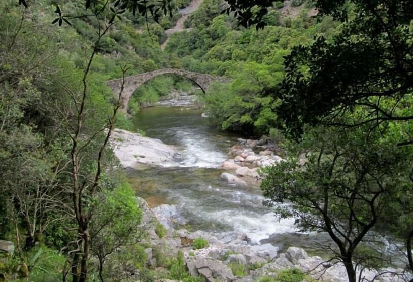 ホテル Hôtel Punta E Mare Des Chambres Ou Des Appartements T2