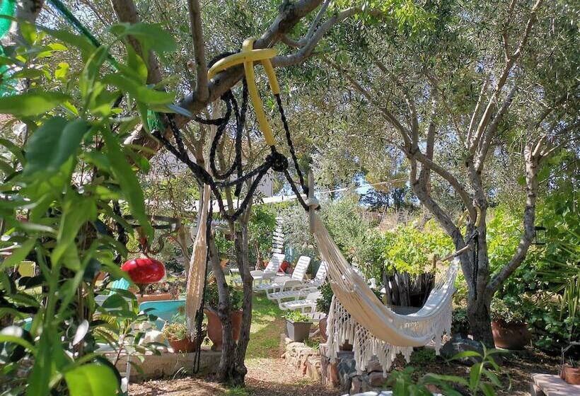 ホテル Hôtel Punta E Mare Des Chambres Ou Des Appartements T2