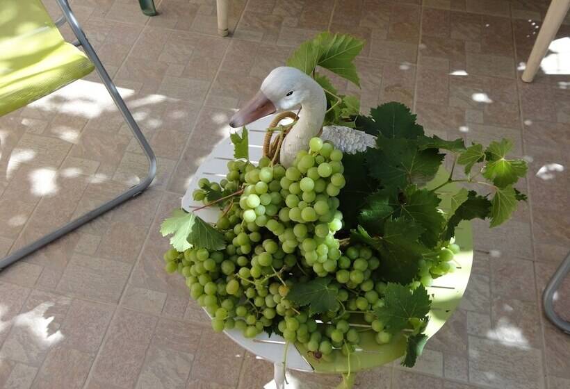 ホテル Hôtel Punta E Mare Des Chambres Ou Des Appartements T2