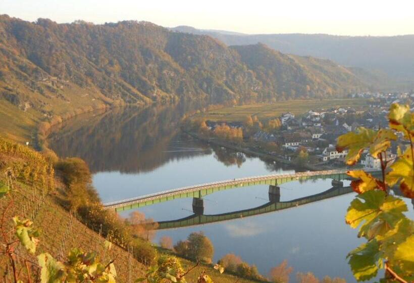 ホテル Weingut  Moselloreley