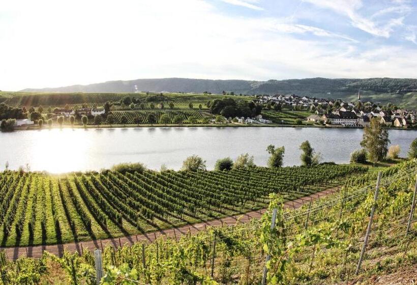 Отель Weingut  Moselloreley