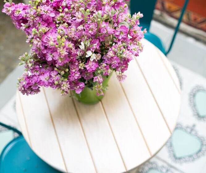 La Palomilla Bed & Breakfast