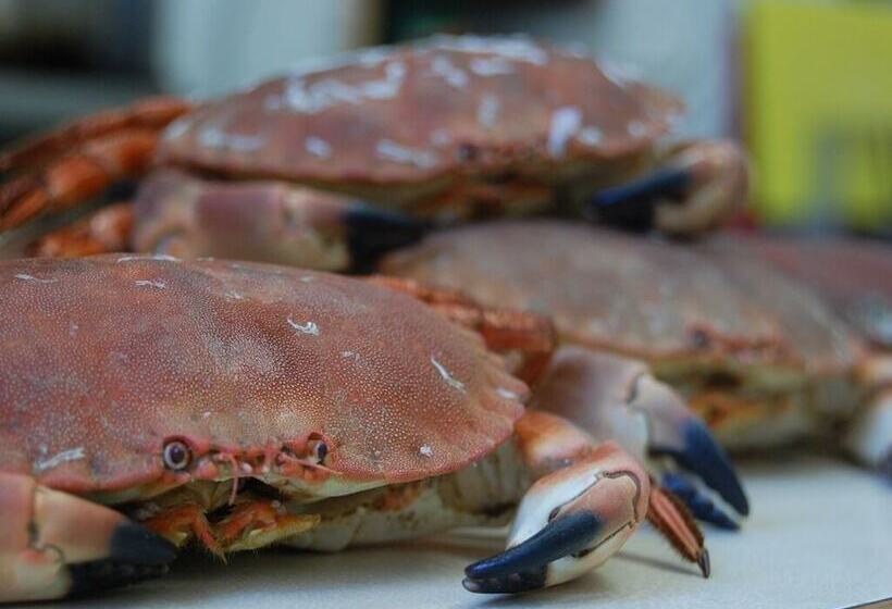 膳宿费 The Grove Cromer