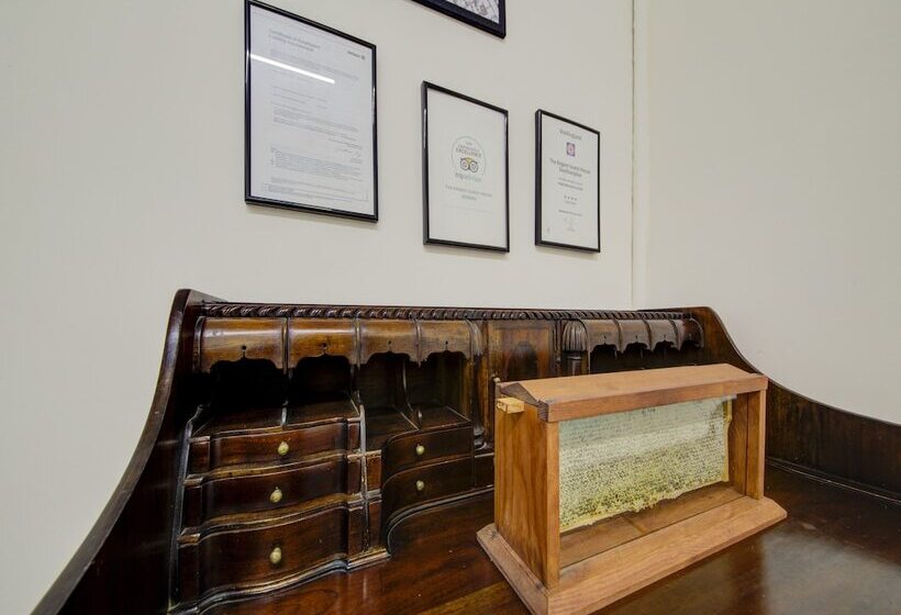 פנסיון The Regents Guest House