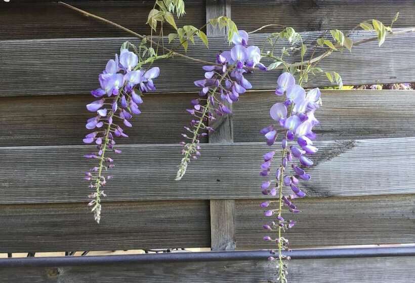 Skylark Bed & Breakfast