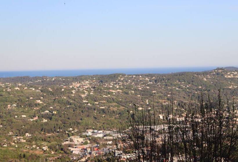 Skylark Bed & Breakfast