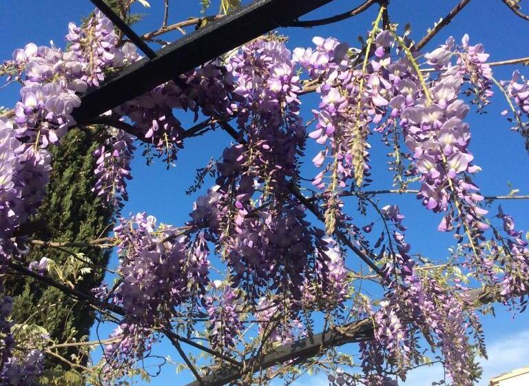 Annapurna Bed & Breakfast