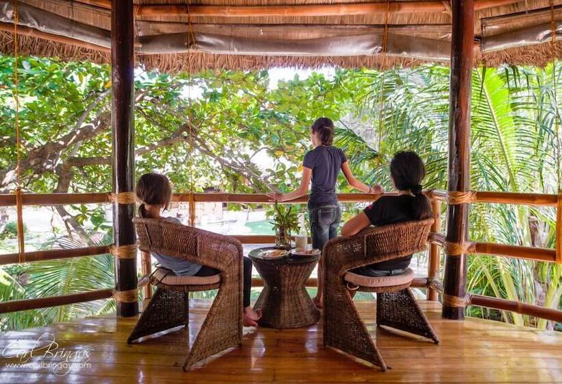 تختخواب و صبحانه Cashew Grove Beach Resort