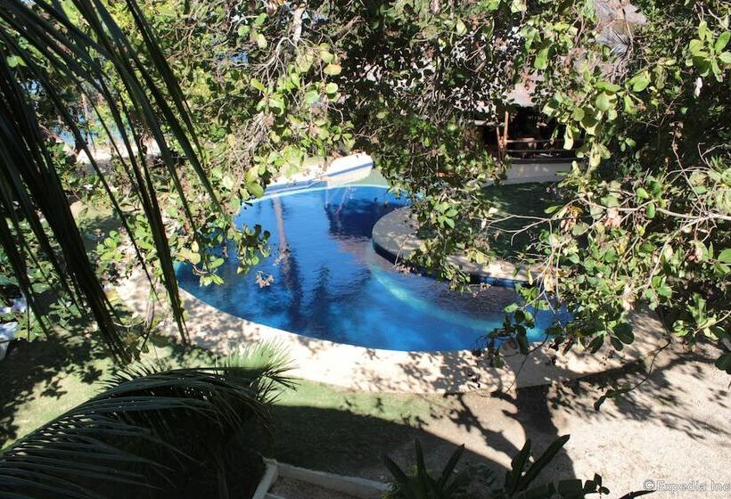 تختخواب و صبحانه Cashew Grove Beach Resort
