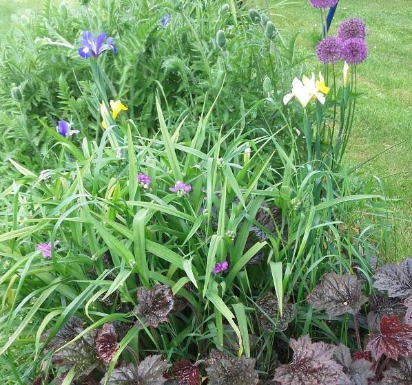 צימר Chambre D Hôtes La Guéjaillière