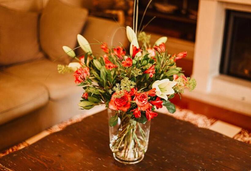 Bed and Breakfast Demeure De La Carmine, Sejour Bien Etre D Exception, Piscine, Hammam, Champagne