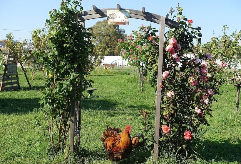 צימר Gite Du Pagoulin  Chambres D Hotes