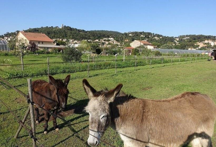 צימר Gite Du Pagoulin  Chambres D Hotes