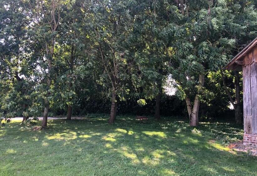 مبيت وإفطار Grisa Home