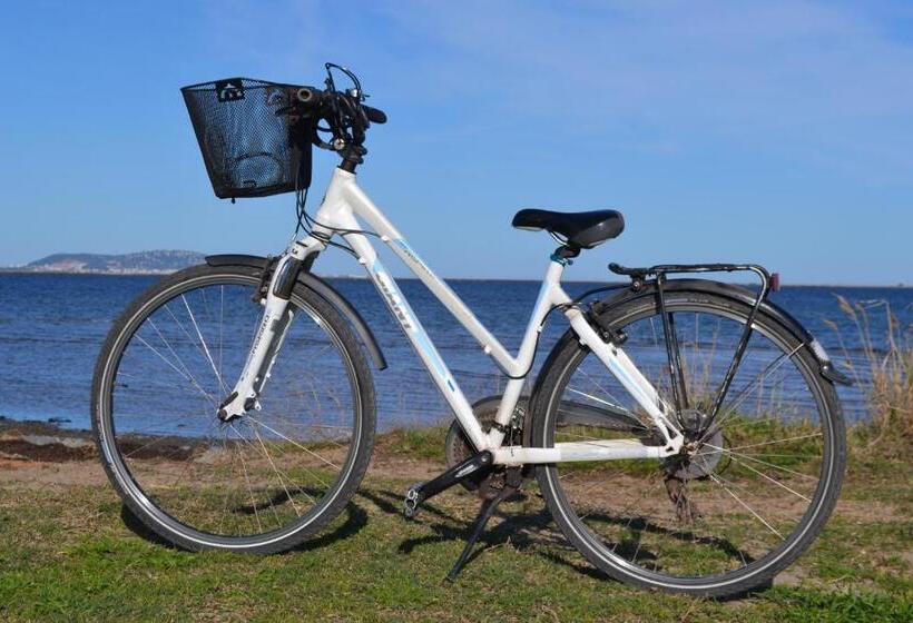 Bed and Breakfast La Casa Occitane