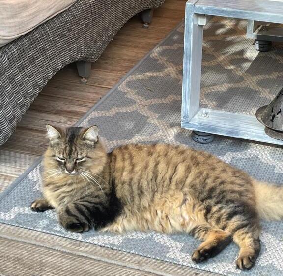 住宿加早餐 La Chambre Du Voyageur