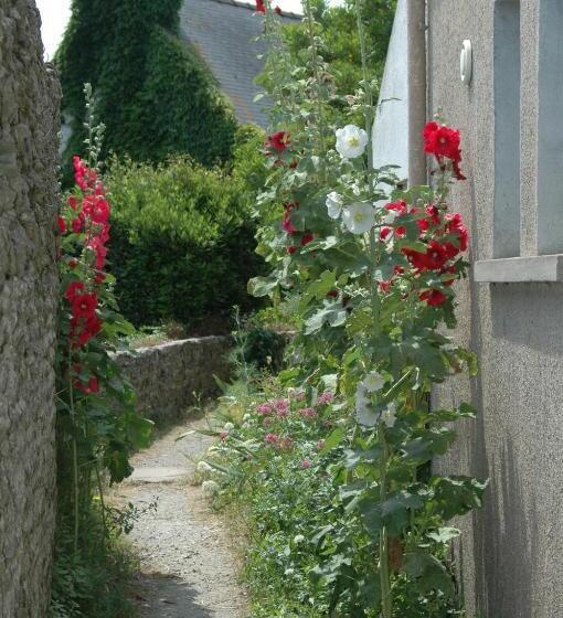 Bed and Breakfast La Criste Marine